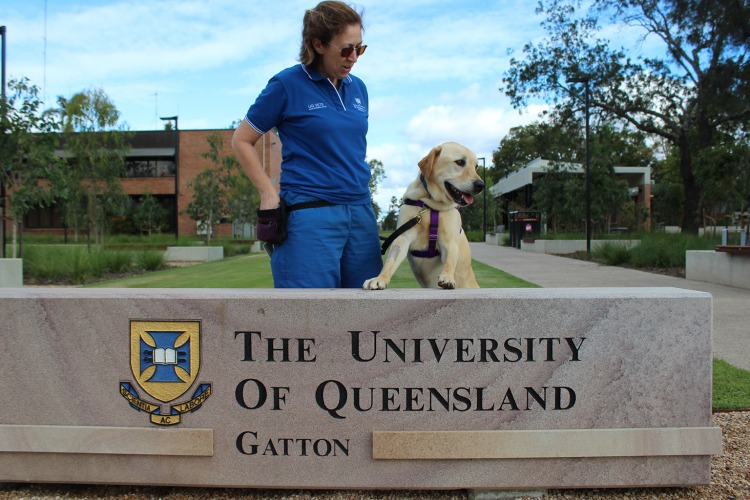 Thanks for your suppawt Faculty of Science University of Queensland